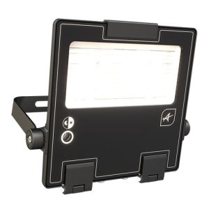 80W Symmetric Floodlight