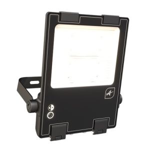 160W Symmetric Floodlight