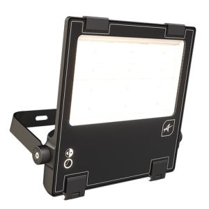 40W Symmetric Floodlight