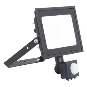 Floodlight 20W PIR Cool White