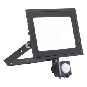 Floodlight 30W PIR Cool White