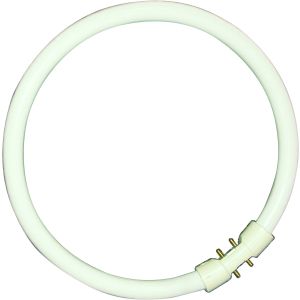 T5 Circular Fluorescent Tube - 60W T5 2GX13, 4000K, 16,000 hrs